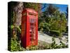 Red Telephone Box, Alameda Gardens, Gibraltar, Europe-Giles Bracher-Stretched Canvas