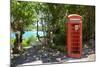 Red Telephone Box at Mama Pasta'S-Frank Fell-Mounted Photographic Print