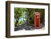 Red Telephone Box at Mama Pasta'S-Frank Fell-Framed Photographic Print