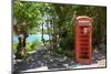 Red Telephone Box at Mama Pasta'S-Frank Fell-Mounted Photographic Print