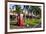 Red Telephone Box in Downtown Oranjestad, Capital of Aruba, ABC Islands, Netherlands Antilles-Michael Runkel-Framed Photographic Print