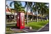 Red Telephone Box in Downtown Oranjestad, Capital of Aruba, ABC Islands, Netherlands Antilles-Michael Runkel-Mounted Photographic Print