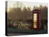 Red Telephone Box on a Frosty Morning, Snelston, Hartington, Derbyshire, England, UK-Pearl Bucknall-Stretched Canvas