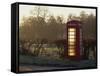 Red Telephone Box on a Frosty Morning, Snelston, Hartington, Derbyshire, England, UK-Pearl Bucknall-Framed Stretched Canvas
