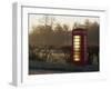 Red Telephone Box on a Frosty Morning, Snelston, Hartington, Derbyshire, England, UK-Pearl Bucknall-Framed Photographic Print