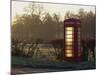Red Telephone Box on a Frosty Morning, Snelston, Hartington, Derbyshire, England, UK-Pearl Bucknall-Mounted Photographic Print