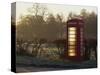 Red Telephone Box on a Frosty Morning, Snelston, Hartington, Derbyshire, England, UK-Pearl Bucknall-Stretched Canvas