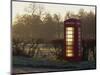Red Telephone Box on a Frosty Morning, Snelston, Hartington, Derbyshire, England, UK-Pearl Bucknall-Mounted Photographic Print