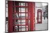 Red telephone boxes, Whitehall, London, England, UK-Jon Arnold-Mounted Photographic Print