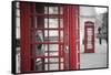 Red telephone boxes, Whitehall, London, England, UK-Jon Arnold-Framed Stretched Canvas
