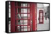 Red telephone boxes, Whitehall, London, England, UK-Jon Arnold-Framed Stretched Canvas