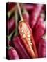 Red Thai Chillies-Greg Elms-Stretched Canvas