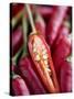Red Thai Chillies-Greg Elms-Stretched Canvas