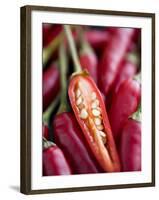 Red Thai Chillies-Greg Elms-Framed Photographic Print