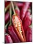 Red Thai Chillies-Greg Elms-Mounted Photographic Print