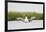 Red-Throated Diver (Gavia Stellata) Adult Stretching Wings on Breeding Loch, Highland, Scotland, UK-Mark Hamblin-Framed Photographic Print