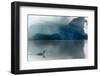 Red-throated diver swimming in Fjallsarlon Glacier Lagoon-Enrique Lopez-Tapia-Framed Photographic Print