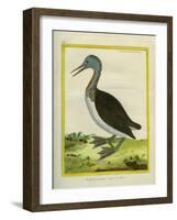 Red-Throated Diver-Georges-Louis Buffon-Framed Giclee Print