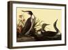 Red-Throated Loon-John James Audubon-Framed Giclee Print