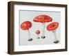 Red Toadstools Fly Agaric-Sally Crosthwaite-Framed Giclee Print