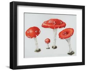 Red Toadstools Fly Agaric-Sally Crosthwaite-Framed Giclee Print