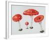 Red Toadstools Fly Agaric-Sally Crosthwaite-Framed Giclee Print