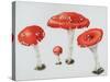 Red Toadstools Fly Agaric-Sally Crosthwaite-Stretched Canvas