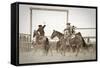 Red Top Ranch-Dan Ballard-Framed Stretched Canvas