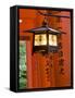 Red Torii Gates, Fushimi Inari Taisha Shrine, Kyoto, Japan-Gavin Hellier-Framed Stretched Canvas