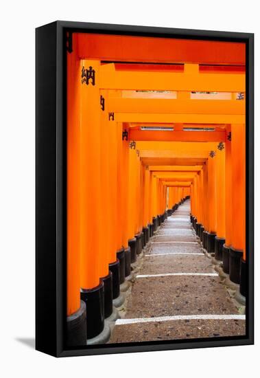 Red Torii Gates, Fushimi Inari Taisha Shrine, Kyoto, Kansai Region, Honshu, Japan, Asia-Gavin Hellier-Framed Stretched Canvas