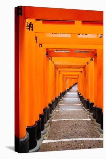 Red Torii Gates, Fushimi Inari Taisha Shrine, Kyoto, Kansai Region, Honshu, Japan, Asia-Gavin Hellier-Stretched Canvas