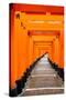 Red Torii Gates, Fushimi Inari Taisha Shrine, Kyoto, Kansai Region, Honshu, Japan, Asia-Gavin Hellier-Stretched Canvas