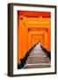 Red Torii Gates, Fushimi Inari Taisha Shrine, Kyoto, Kansai Region, Honshu, Japan, Asia-Gavin Hellier-Framed Premium Photographic Print