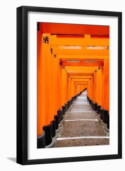 Red Torii Gates, Fushimi Inari Taisha Shrine, Kyoto, Kansai Region, Honshu, Japan, Asia-Gavin Hellier-Framed Photographic Print