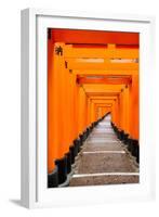 Red Torii Gates, Fushimi Inari Taisha Shrine, Kyoto, Kansai Region, Honshu, Japan, Asia-Gavin Hellier-Framed Photographic Print