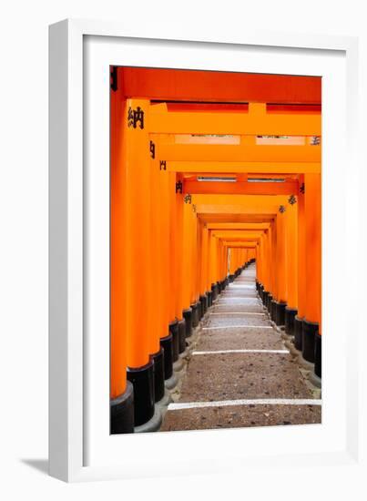 Red Torii Gates, Fushimi Inari Taisha Shrine, Kyoto, Kansai Region, Honshu, Japan, Asia-Gavin Hellier-Framed Photographic Print