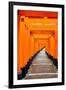 Red Torii Gates, Fushimi Inari Taisha Shrine, Kyoto, Kansai Region, Honshu, Japan, Asia-Gavin Hellier-Framed Photographic Print