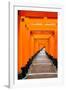 Red Torii Gates, Fushimi Inari Taisha Shrine, Kyoto, Kansai Region, Honshu, Japan, Asia-Gavin Hellier-Framed Photographic Print