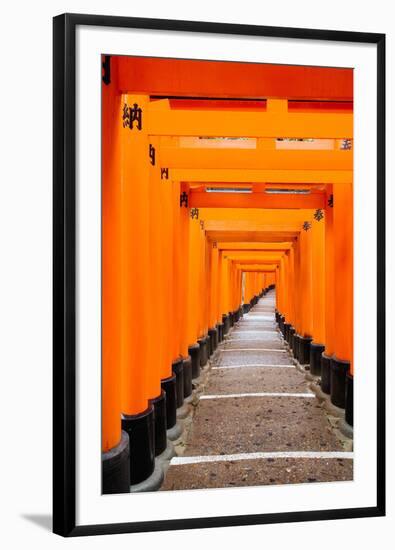 Red Torii Gates, Fushimi Inari Taisha Shrine, Kyoto, Kansai Region, Honshu, Japan, Asia-Gavin Hellier-Framed Photographic Print