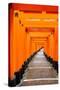 Red Torii Gates, Fushimi Inari Taisha Shrine, Kyoto, Kansai Region, Honshu, Japan, Asia-Gavin Hellier-Stretched Canvas