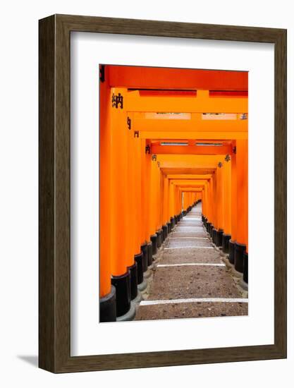 Red Torii Gates, Fushimi Inari Taisha Shrine, Kyoto, Kansai Region, Honshu, Japan, Asia-Gavin Hellier-Framed Photographic Print