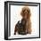 Red Toy Poodle Dog and His 7-Week Red Merle Puppy-Mark Taylor-Framed Photographic Print