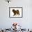 Red Toy Poodle Puppy, Reggie, 12 Weeks, Walking-Mark Taylor-Framed Photographic Print displayed on a wall