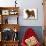 Red Toy Poodle Puppy, Reggie, 12 Weeks, Walking-Mark Taylor-Mounted Photographic Print displayed on a wall