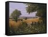 Red Tractor-Bill Makinson-Framed Stretched Canvas
