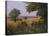 Red Tractor-Bill Makinson-Stretched Canvas