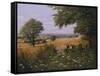 Red Tractor-Bill Makinson-Framed Stretched Canvas