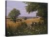 Red Tractor-Bill Makinson-Stretched Canvas