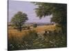 Red Tractor-Bill Makinson-Stretched Canvas