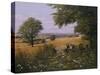 Red Tractor-Bill Makinson-Stretched Canvas